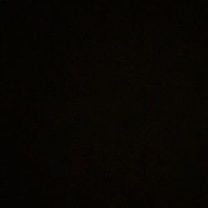 Meet your Posher, Isabel